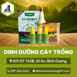 Dinh dưỡng cây trồng